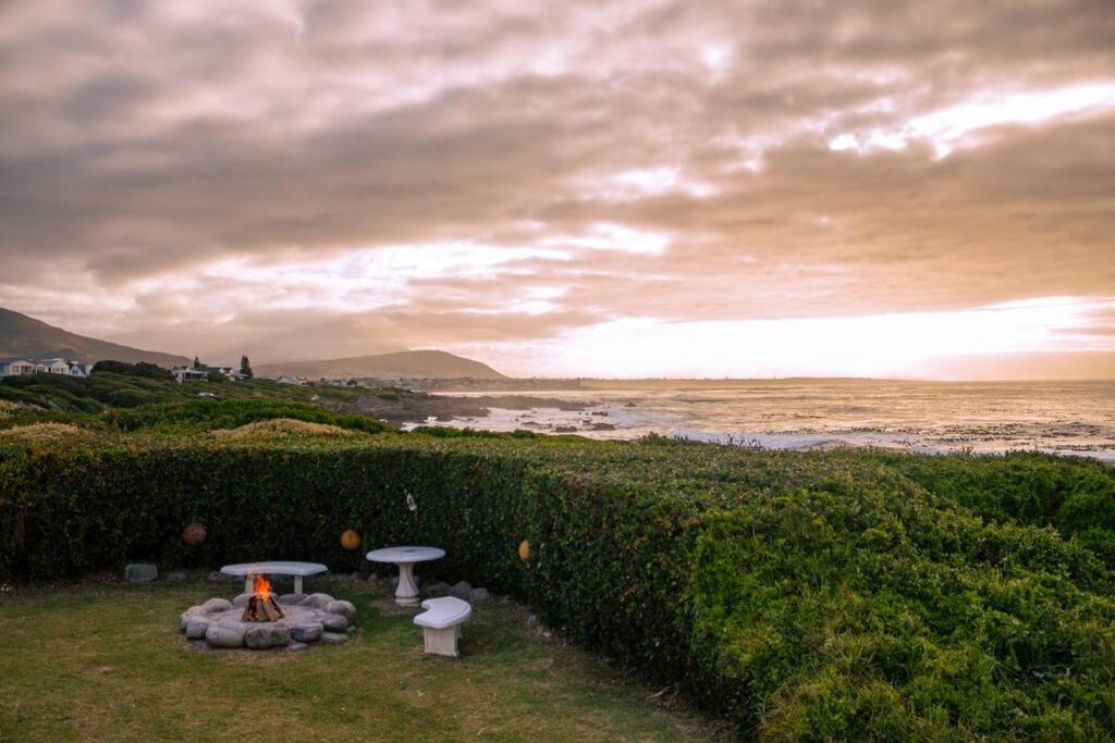 Photo of Others in Hermanus