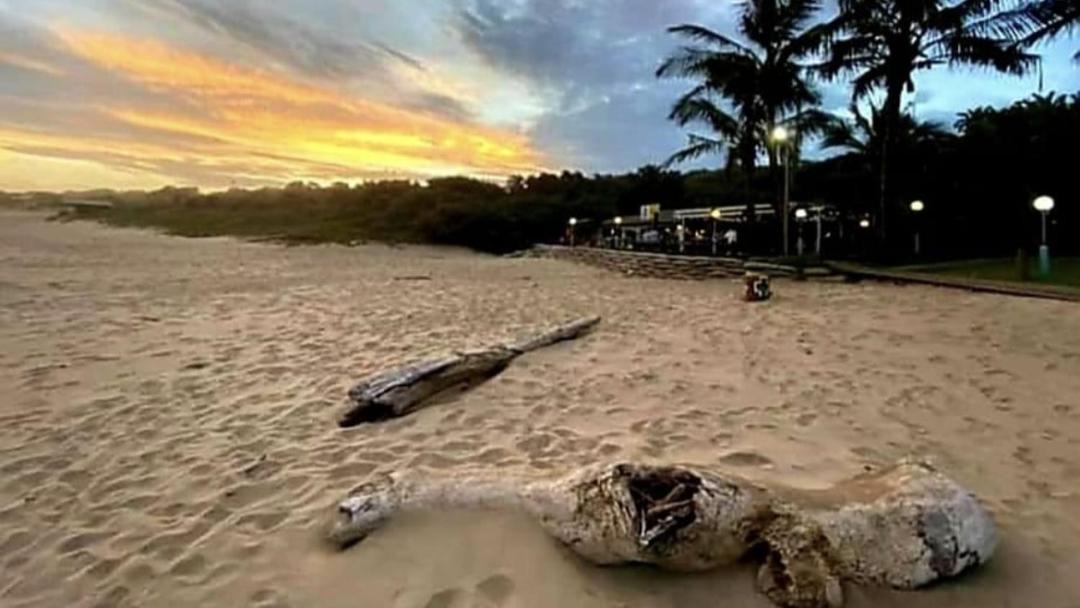 Photo of Others in Marina Beach