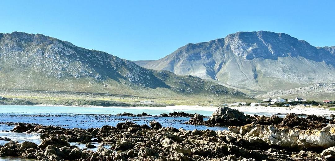 Photo of Others in Pringle Bay
