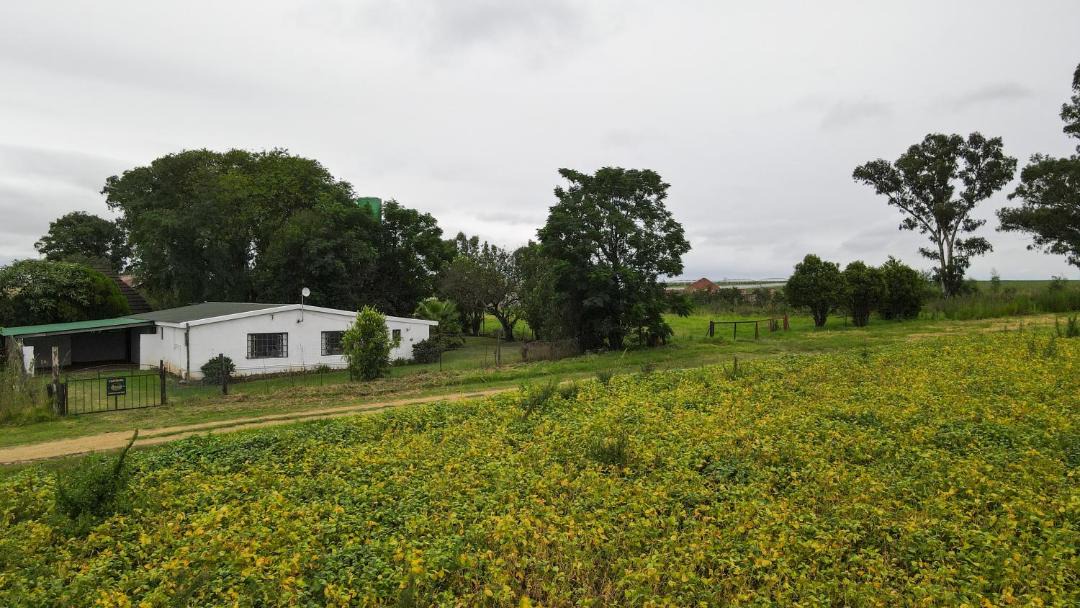 Photo of Others in Okhahlamba