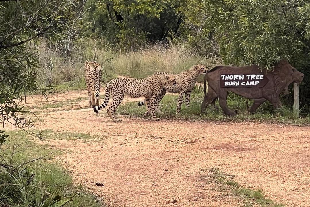 Photo of Others in Hammanskraal