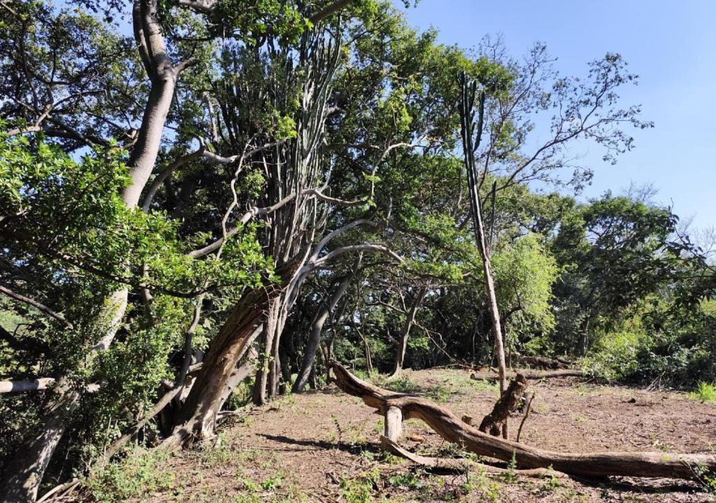 Photo of Others in Hartbeespoort