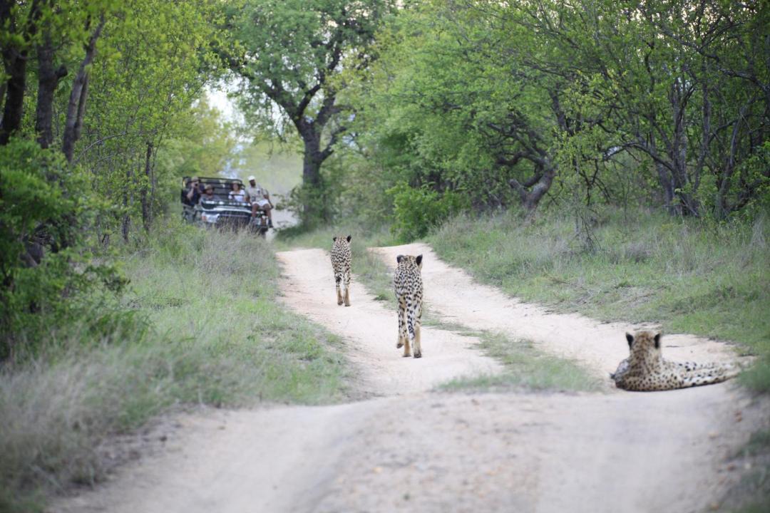 Photo of Others in Hoedspruit