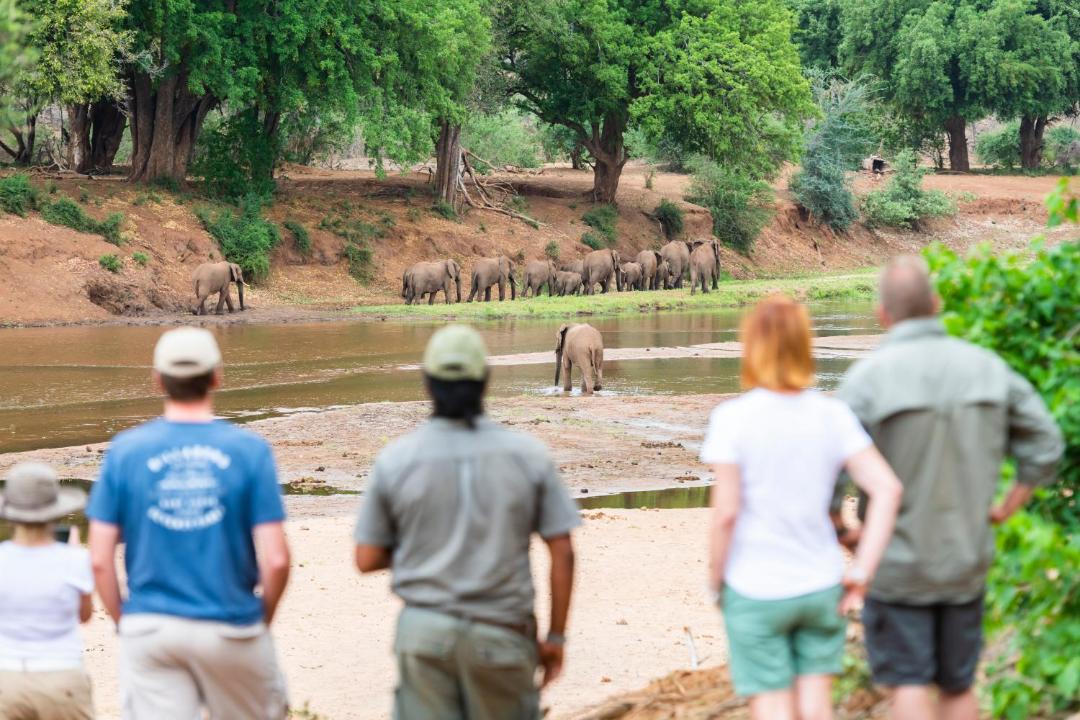 Photo of Others in Kruger National Park