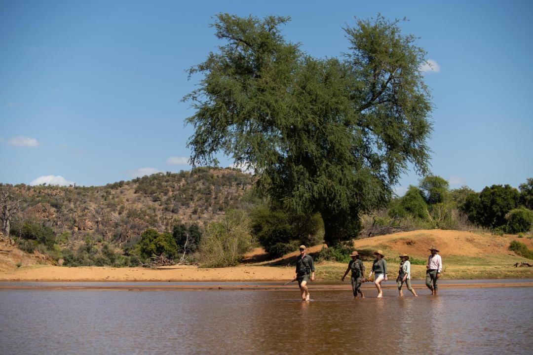 Photo of Others in Kruger National Park
