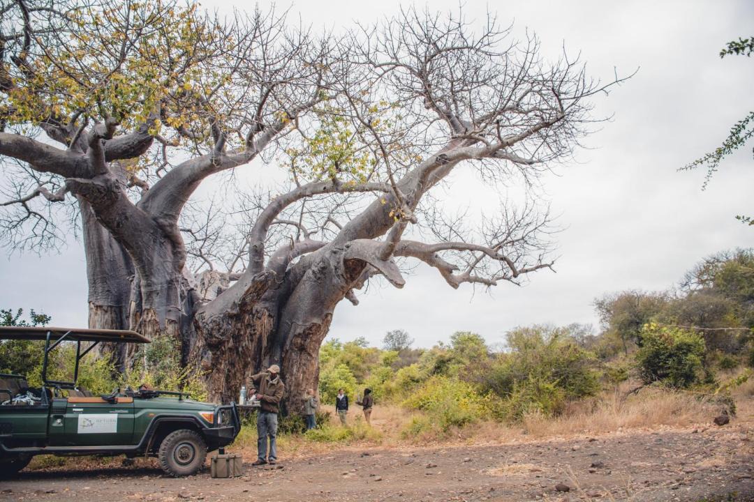 Photo of Others in Kruger National Park