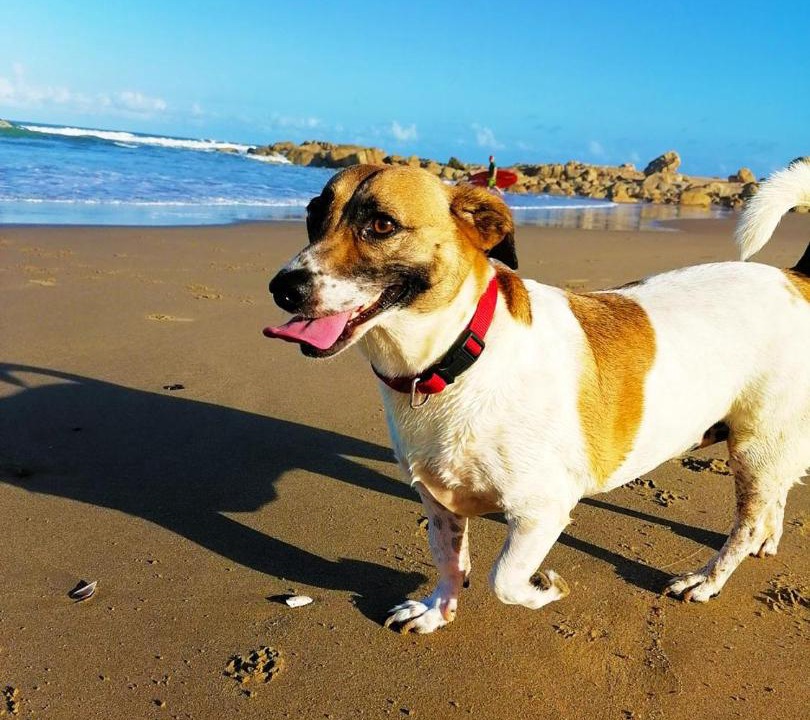 Photo of Others in Ramsgate Beach