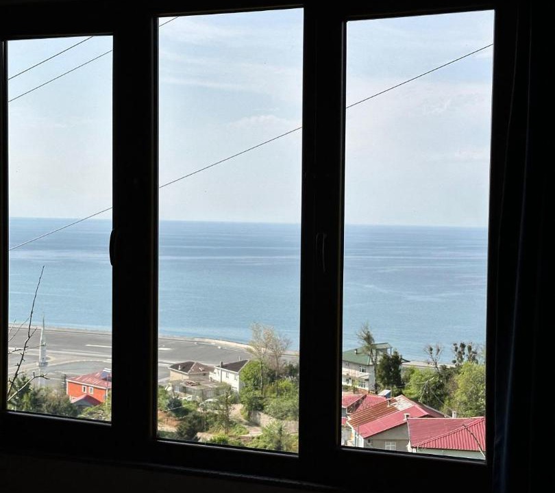 Photo of Others in Pazar