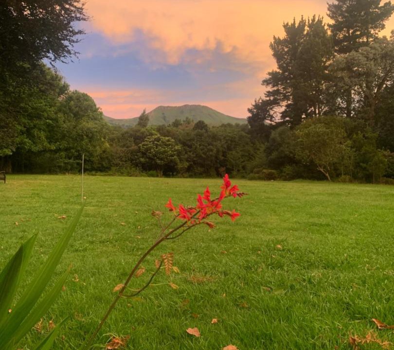 Photo of Others in Hogsback