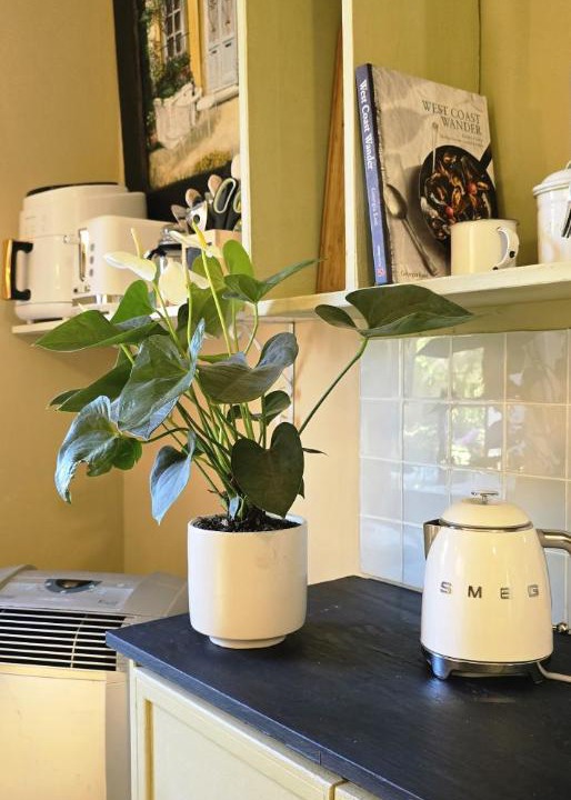 Photo of Kitchen in West Beach