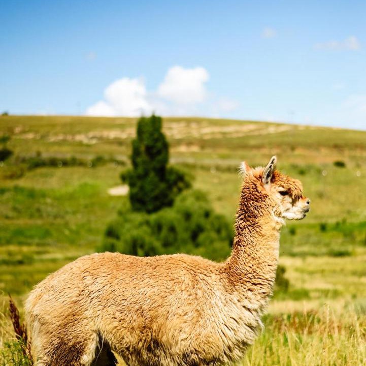 Photo of Others in Clarens