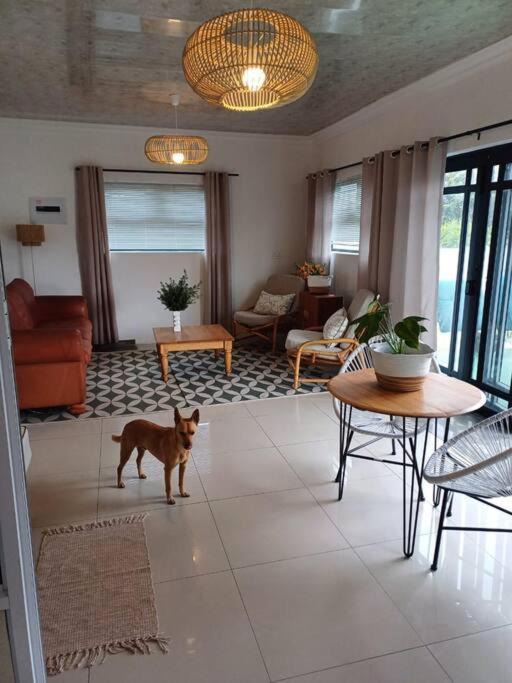 Photo of Livingroom in Betty's Bay