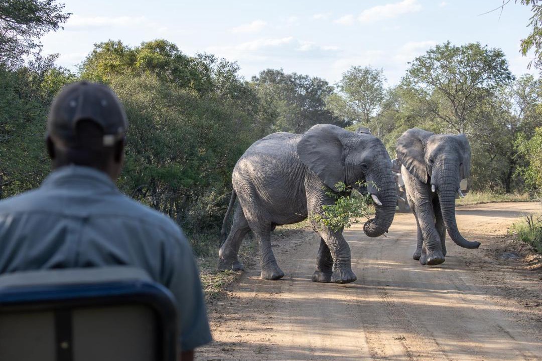 Photo of Others in Thorny Bush Game Reserve