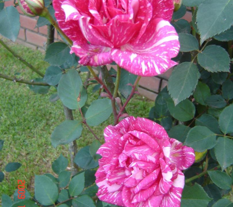 Photo of Outdoor in Graskop