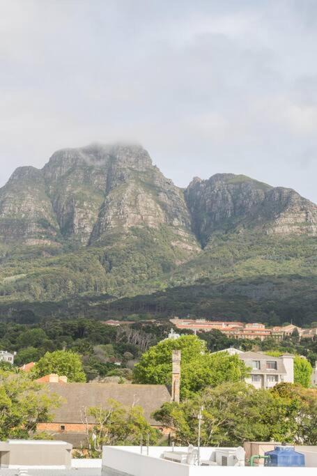Photo of Others in Rondebosch