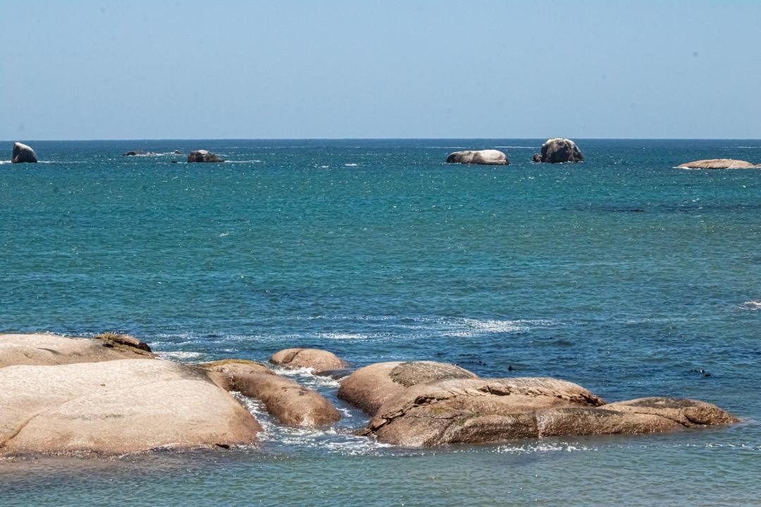 Photo of Others in Jacobs Bay