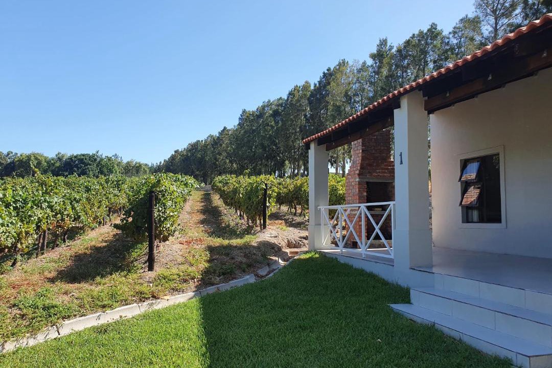 Photo of Buildings in Cape Winelands