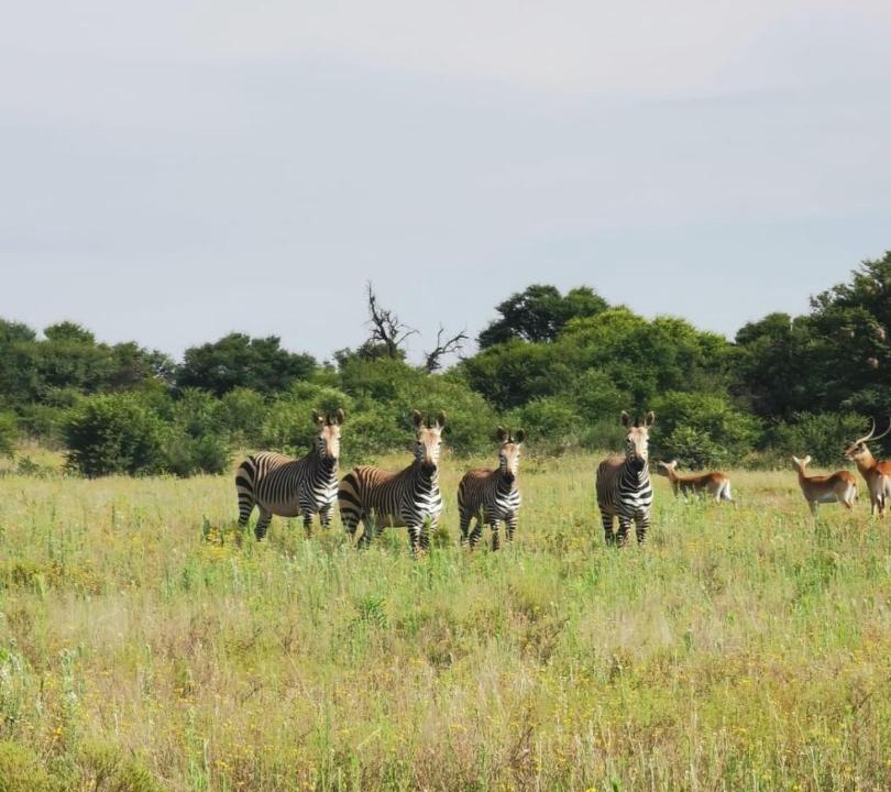 Photo of Outdoor in Bloemfontein