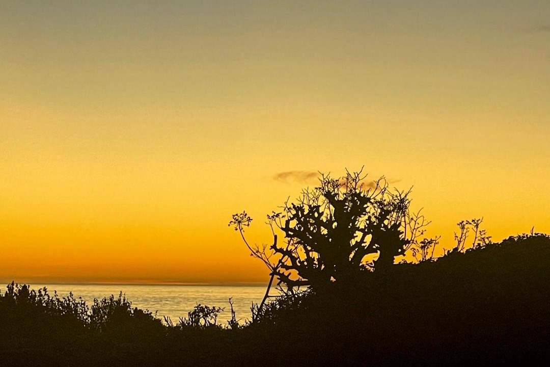 Photo of Others in Jacobs Bay