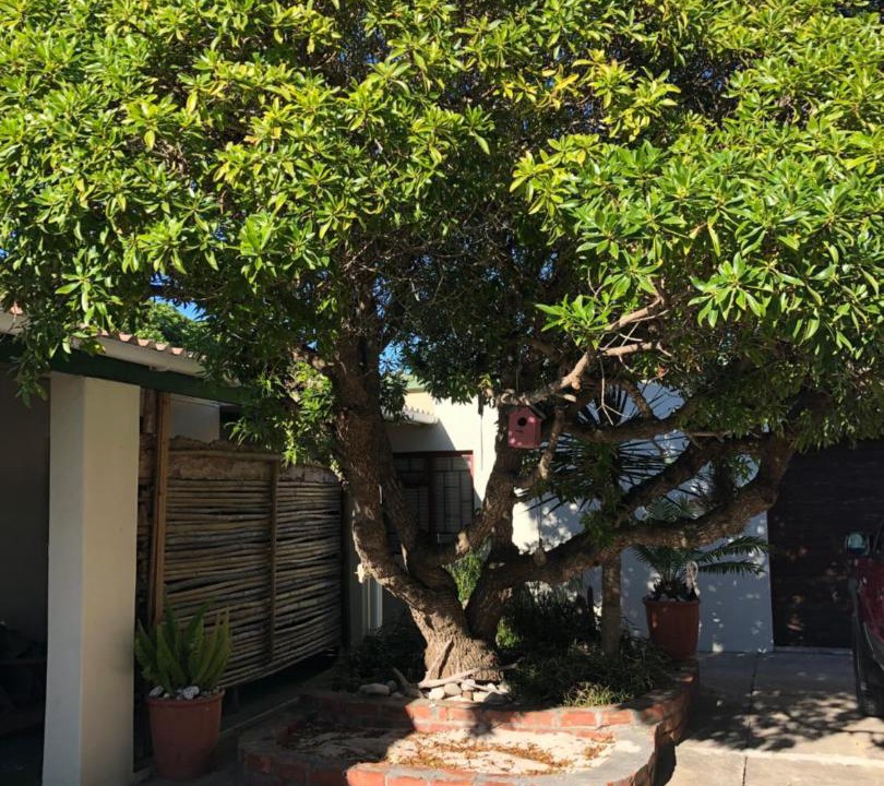 Photo of Others in Struisbaai