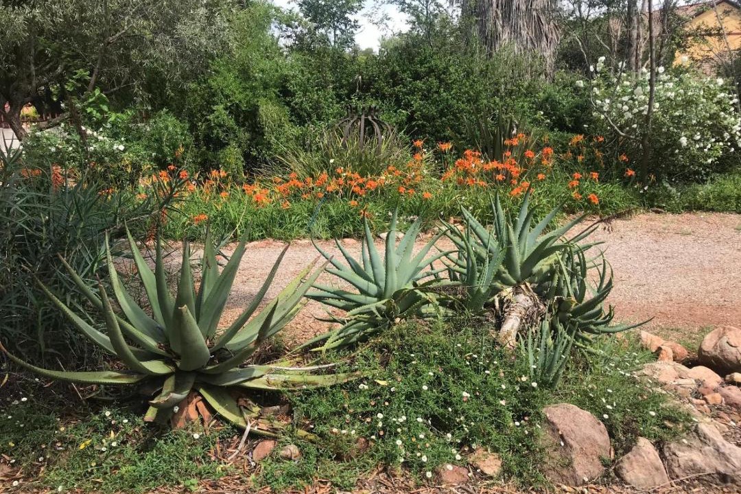 Photo of Outdoor in Klerksdorp