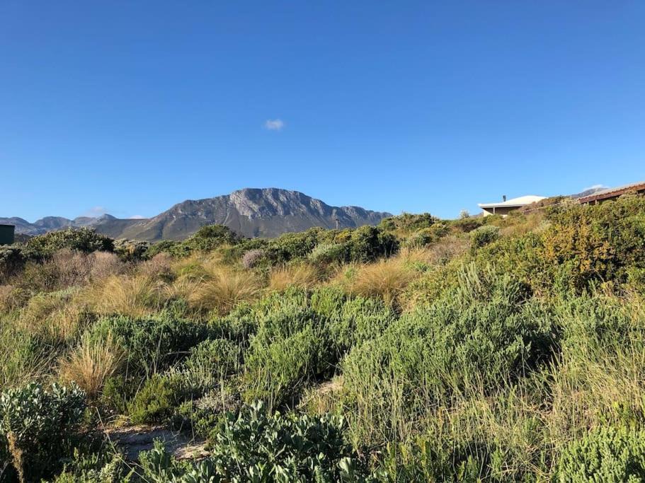 Photo of Others in Pringle Bay