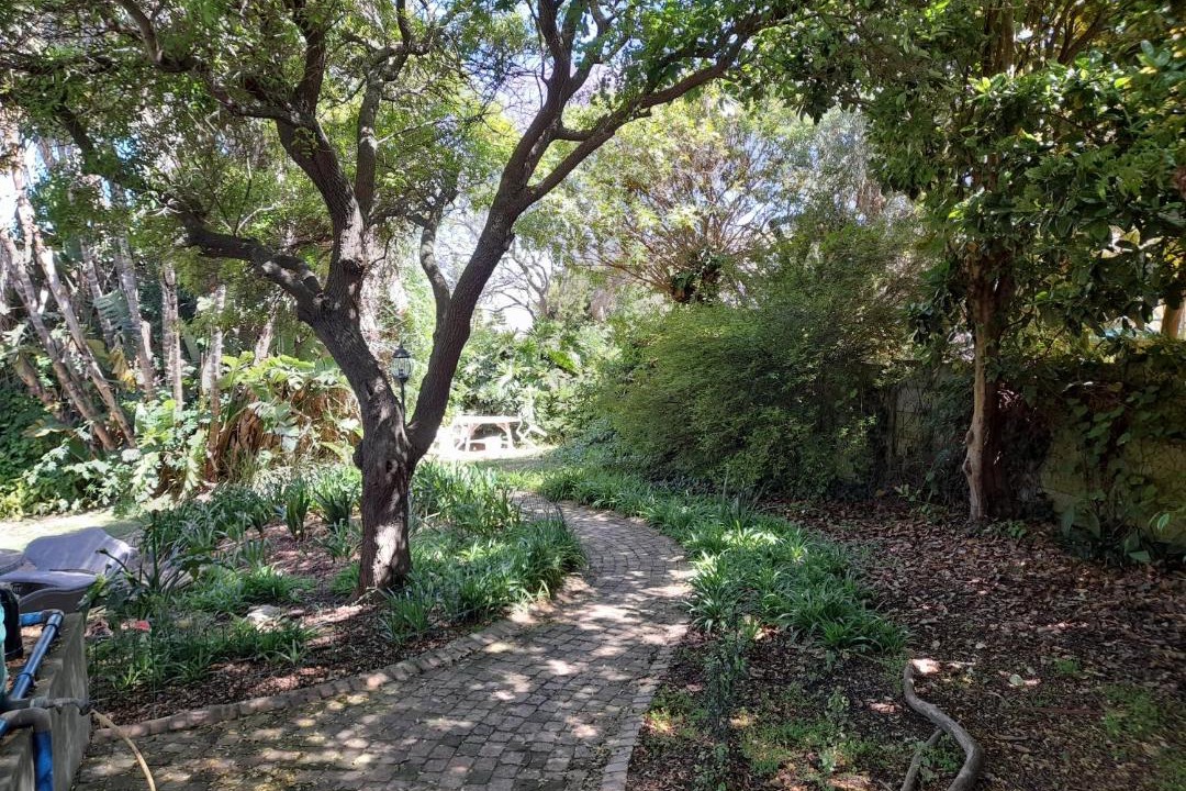 Photo of Others in Somerset West