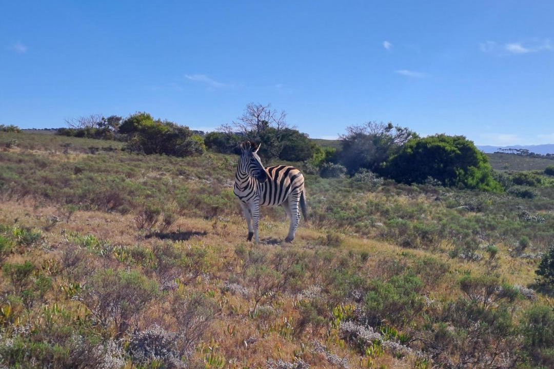 Photo of Others in Kouga