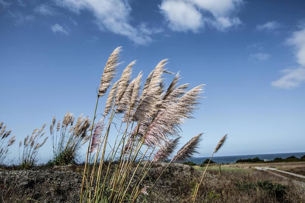 Photo of Others in Pescadero