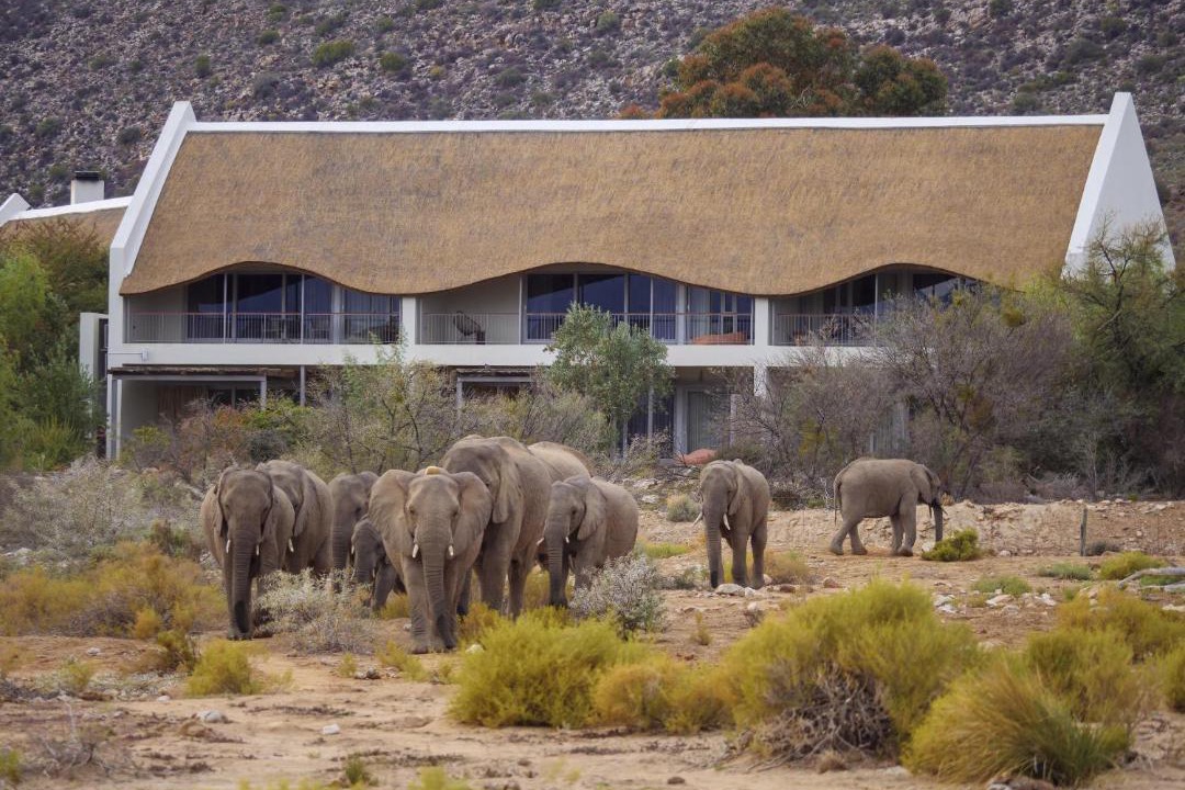 Photo of Others in Barrydale