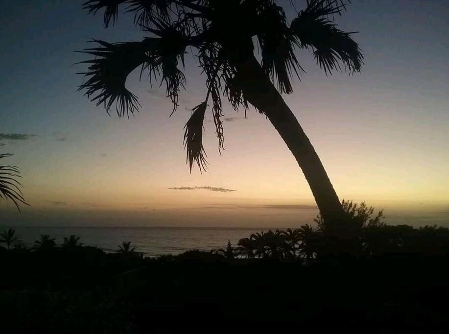 Photo of Others in Port Shepstone