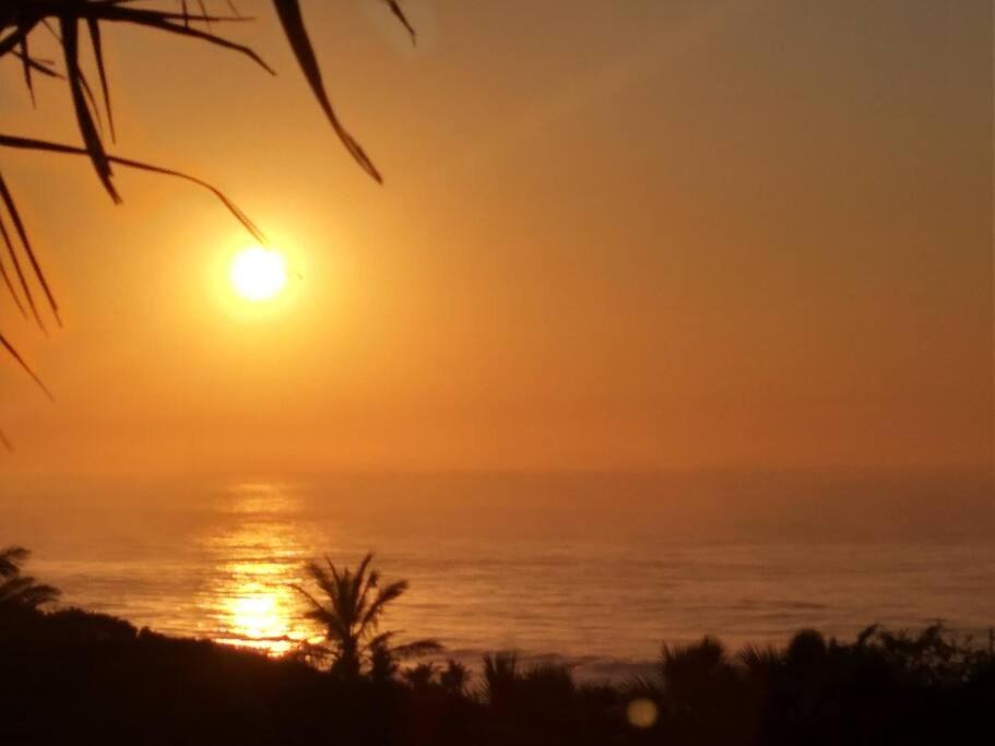 Photo of Others in Port Shepstone