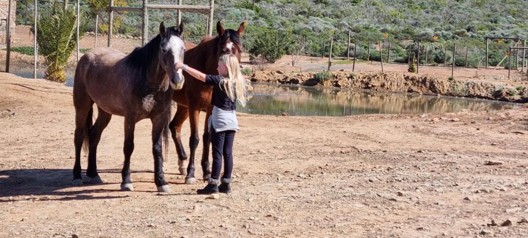 Photo of Others in Langeberg