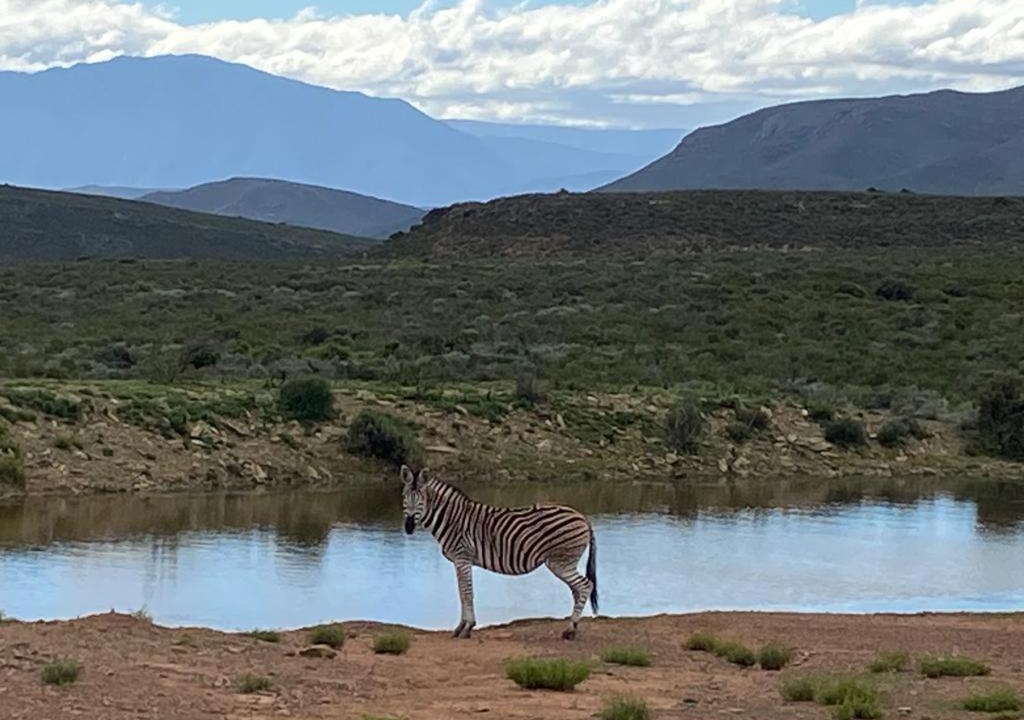 Photo of Others in Langeberg
