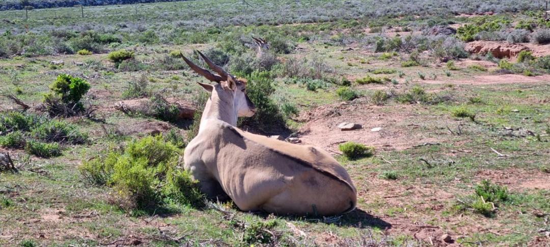 Photo of Others in Langeberg
