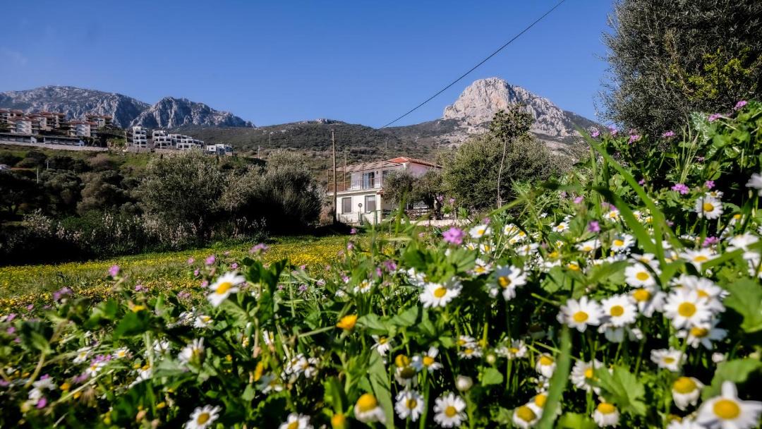 Photo of Others in Karaburun