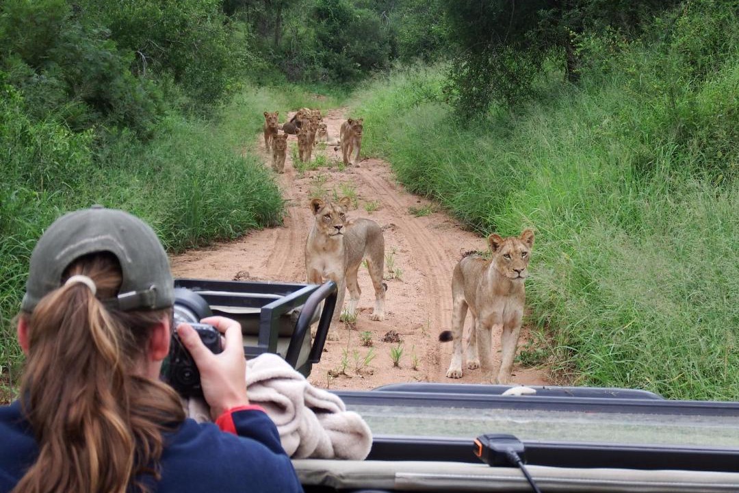 Photo of Others in Phalaborwa