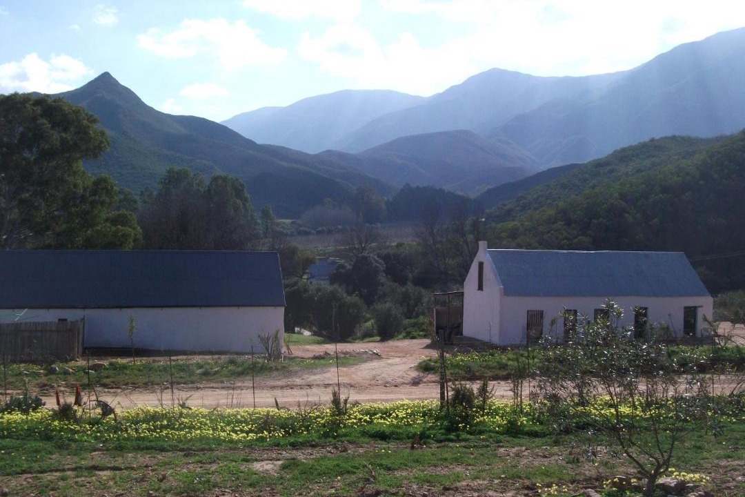 Photo of Buildings in Langeberg