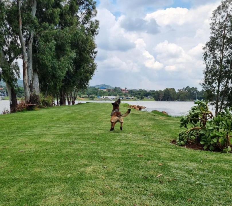 Photo of Others in Vaal Marina