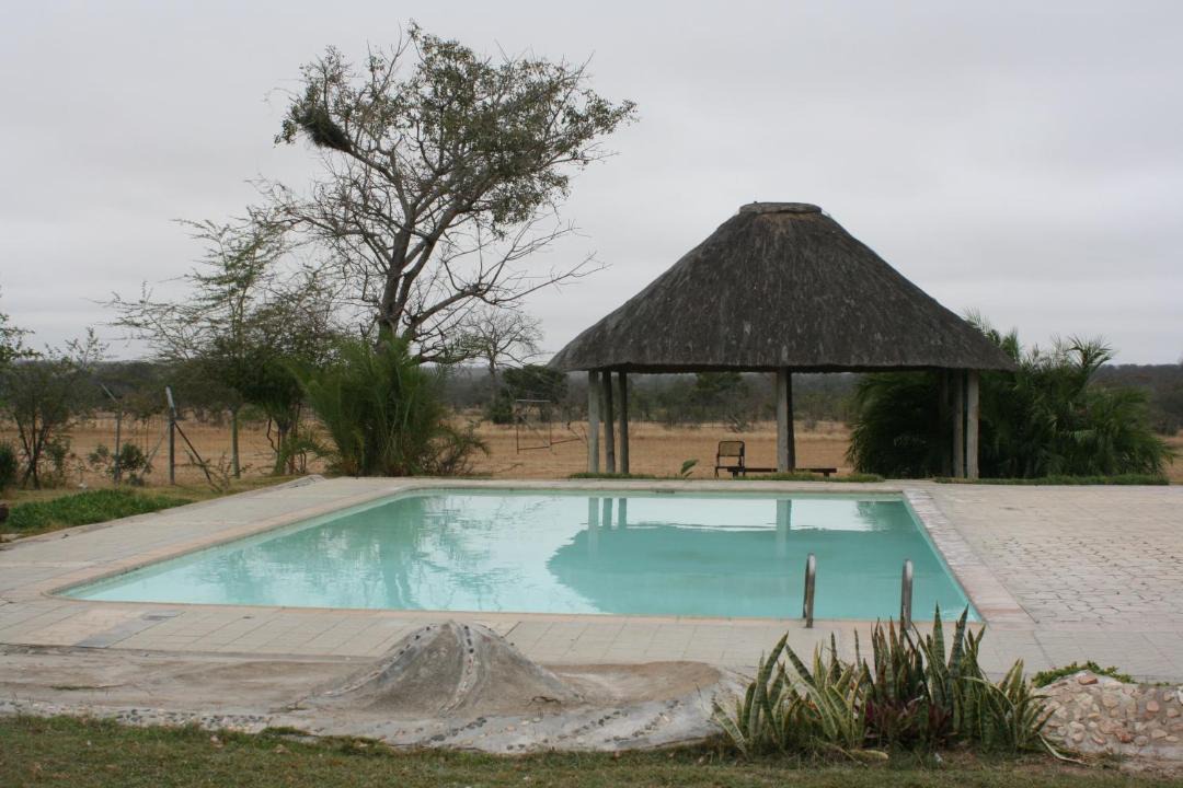 Photo of Others in Kruger National Park