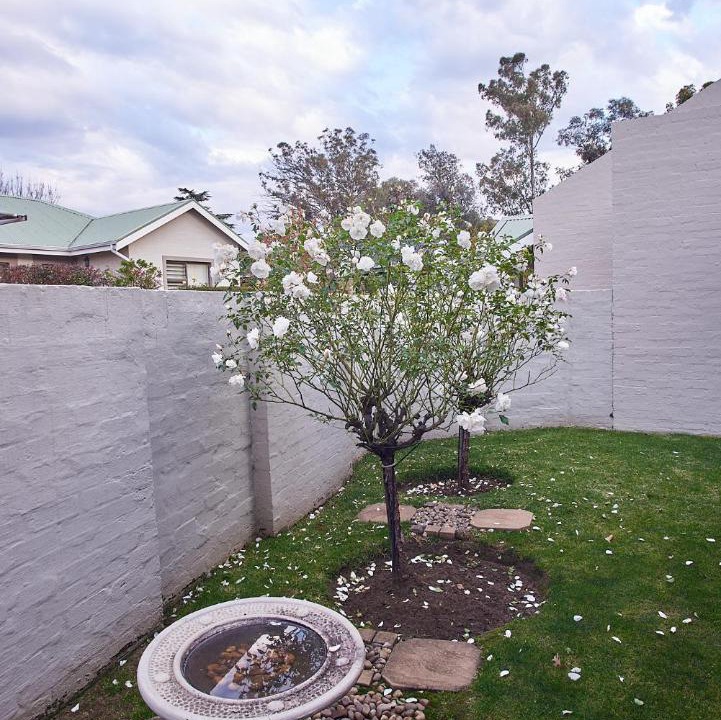 Photo of Patio Balcony in Clarens