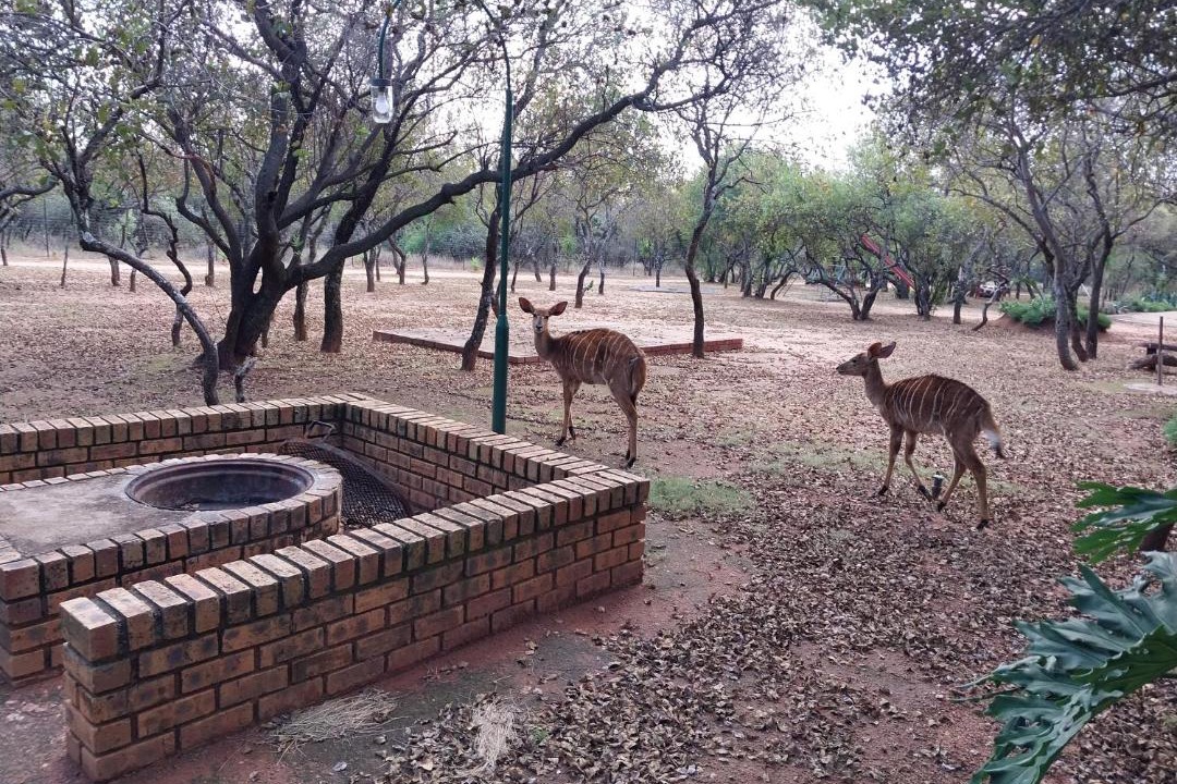 Photo of Others in Madibeng