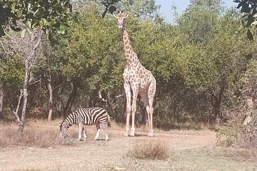 Photo of Others in Madibeng