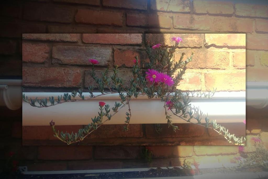 Photo of Others in Pretoria