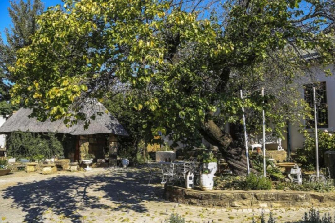 Photo of Others in Ficksburg