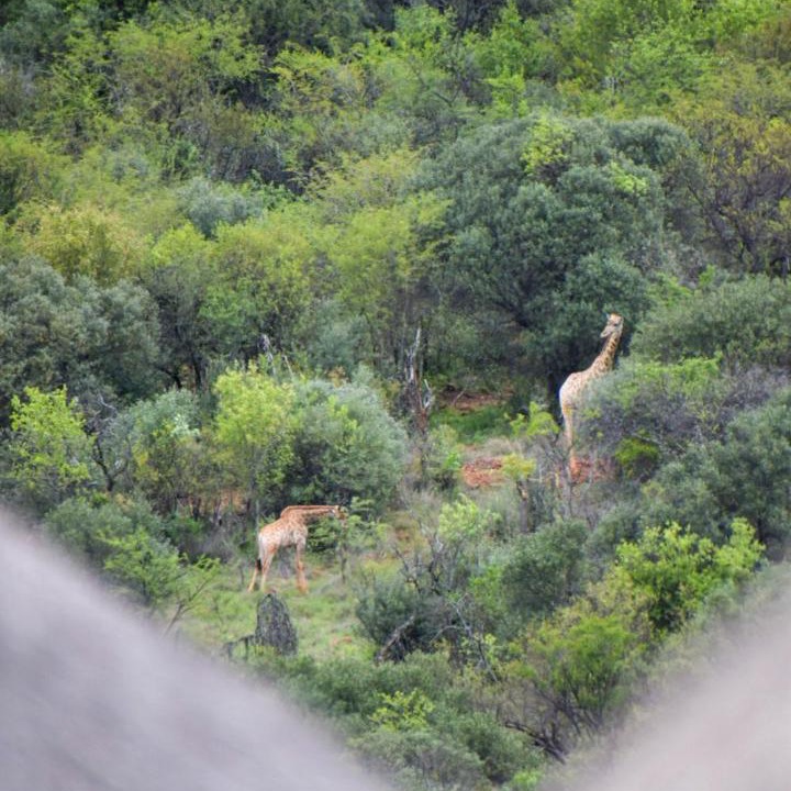 Photo of Others in Kgetlengrivier