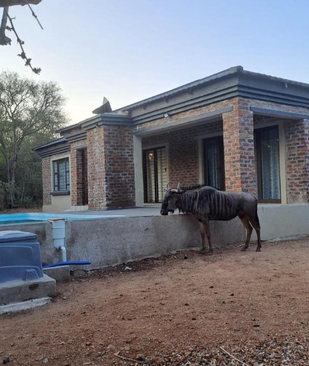Photo of Others in Marloth Park