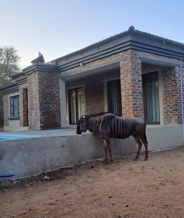 Photo of Others in Marloth Park