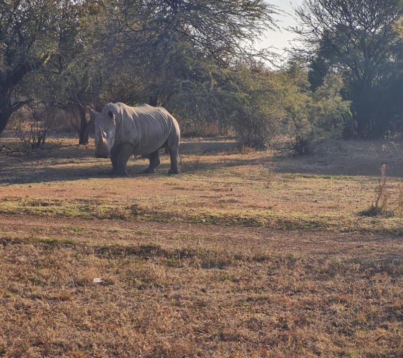 Photo of Others in Hammanskraal