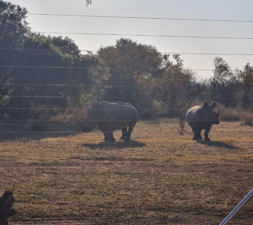 Photo of Others in Hammanskraal